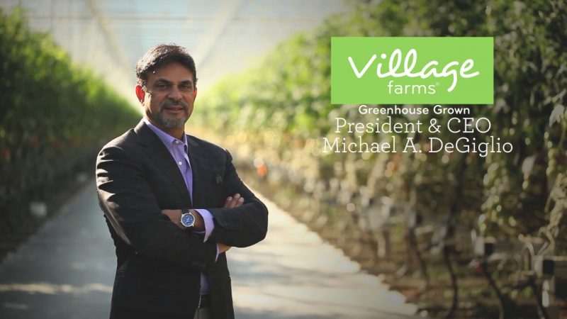 Village Farms International Inc., - CEO, Michael DeGiglio