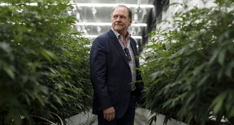 Aurora Cannabis Inc. - Founder and previous CEO, Terry Booth