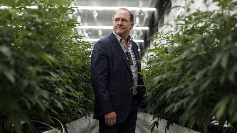 Aurora Cannabis Inc. - Founder and previous CEO, Terry Booth