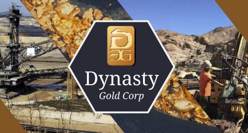 Dynasty Gold