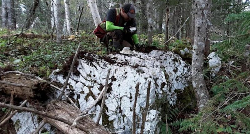 Outcrop of Big Vein in the vicinity of visible gold samples at Labrador Gold's Kingsway Project