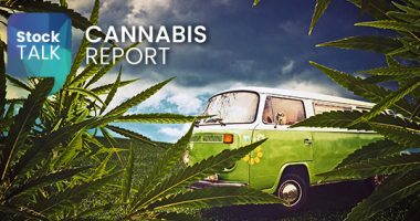 Stock Talk Cannabis Report image of cannabis plants and VW van