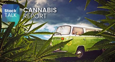 Stock Talk Cannabis Report image of cannabis plants and VW van