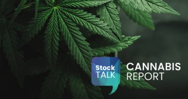 Cannabis Report text across cannabis leaves.