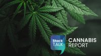 Cannabis leaves with Stock Talk and Cannabis Report labels