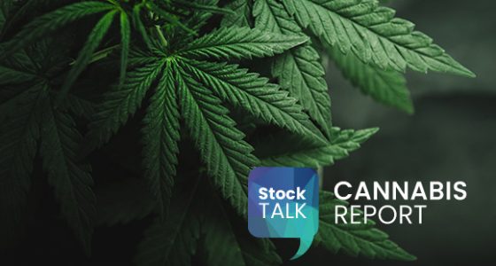 Cannabis leaves with Stock Talk and Cannabis Report labels