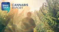 Cannabis Report image of farmed cannabis plants