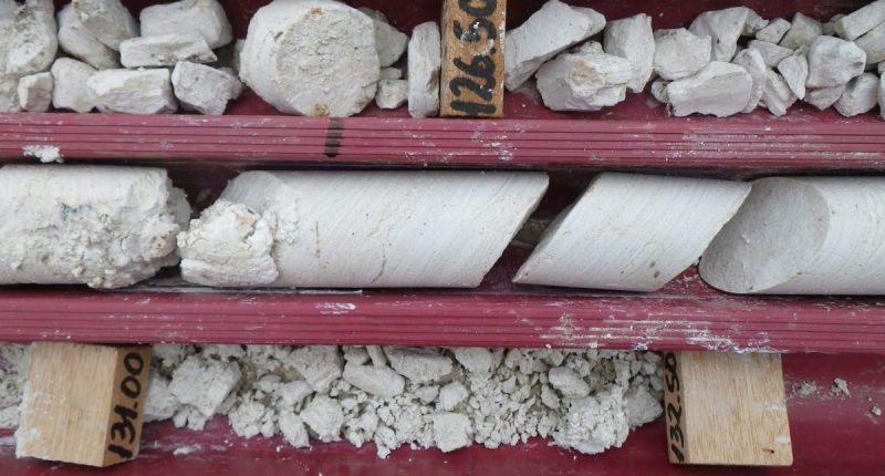 American Lithium - High-grade lithium core from drilling at Falchani.