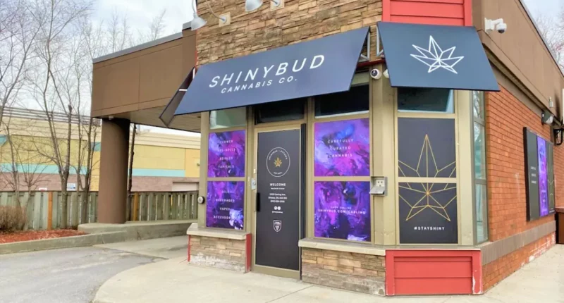 Shiny Health & Wellness - A ShinyBud location in Ottawa.