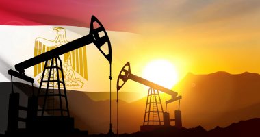 Oil pump on background of flag of Egypt against the sunset