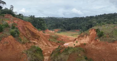 Founders Metals' Antino gold project in Suriname.