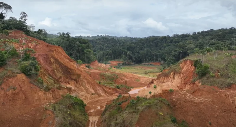 Founders Metals' Antino gold project in Suriname.