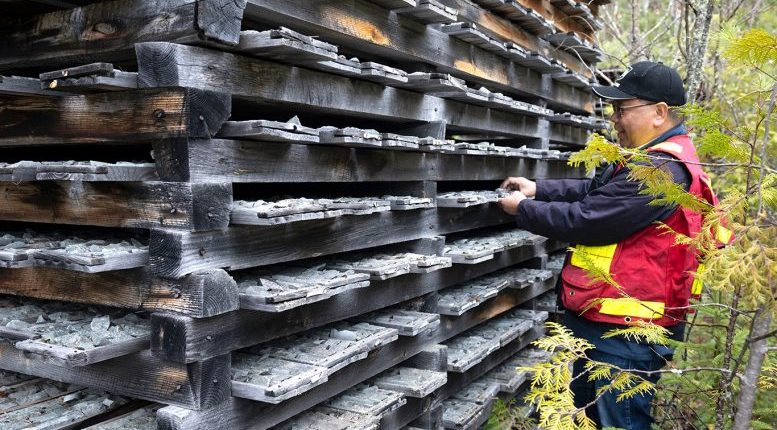 Goldshore Resources senior geologist Joey Garcia inspects historic core samples from the Moss gold project in Ontario.