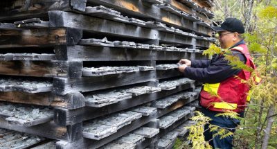 Goldshore Resources senior geologist Joey Garcia inspects historic core samples from the Moss gold project in Ontario.