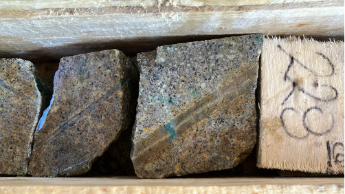 Pampa Metals (CSE:PM), an undervalued copper stock, reveals outstanding final assays from its Piuquenes project in Argentina.