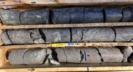 Pampa Metals - Drill core from Pampa Metals' 3rd drill hole at the Piuquenes copper and gold project in Argentina.