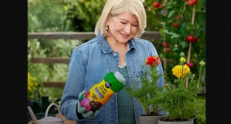 Martha Stewart in a garden using Scotts Miracle-Gro