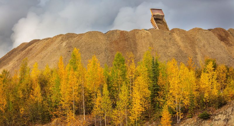 A heavy truck unloads on a dump with mine tailings at a gold mine in Canada's Yukon Territory
