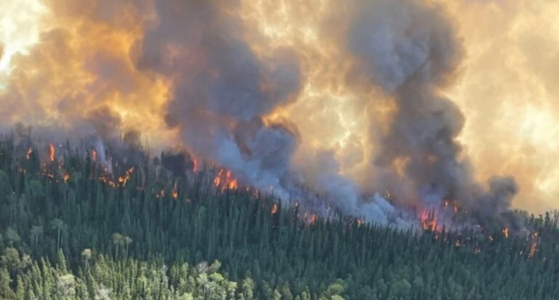 Algar Lake Complex wildfire in Alberta