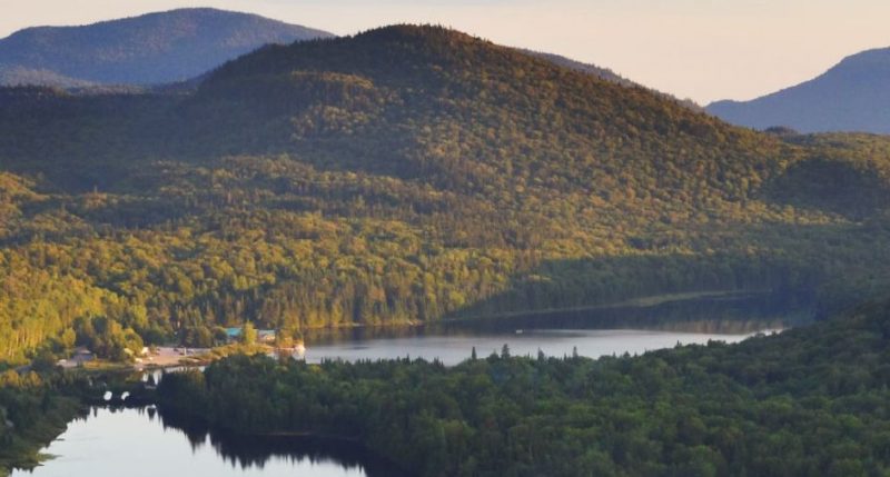 Scenic photo of Bloom Project.