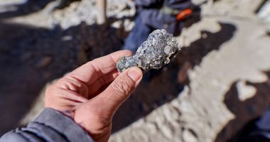 Silver ore in the shape of a small rock