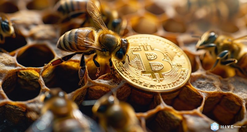 Bees in a hive inspecting a Bitcoin.