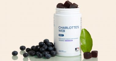 Charlotte's Web's CBD Rest gummies