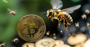 Bees and Bitcoin