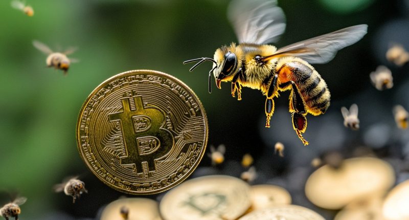 Bees and Bitcoin