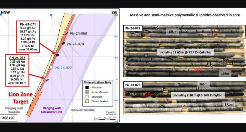 Core from drillholes PN24071 and PN24073 from Power Nickel's Lion zone discovery in Quebec