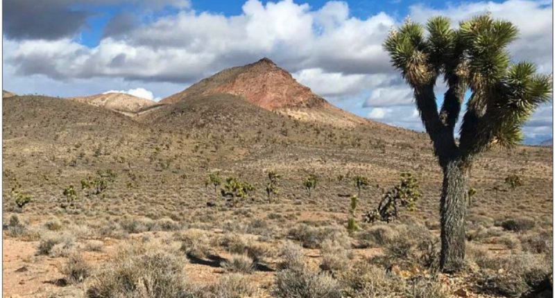 (Photo of advanced argillic alteration in the rhyolite dome at Celts. Photo looking towards the northeast. Source: Eminent Gold Corp.)