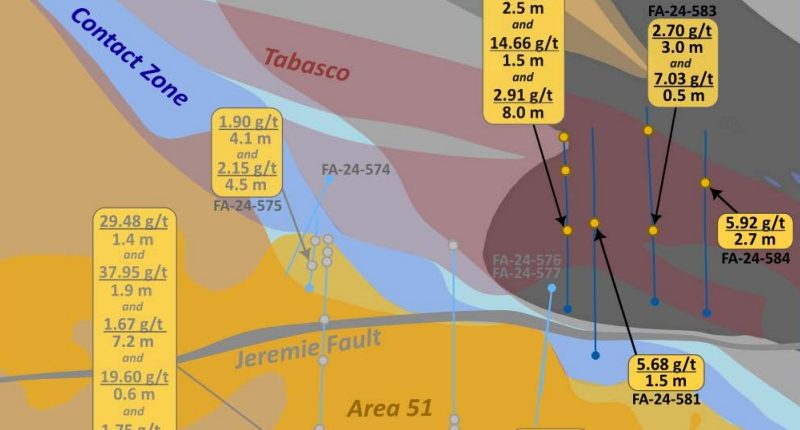 (Fenlon Gold Project Plan view 2024 drilling. Source: Wallbridge Mining Corp.)