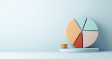 Portfolio pie chart and coins