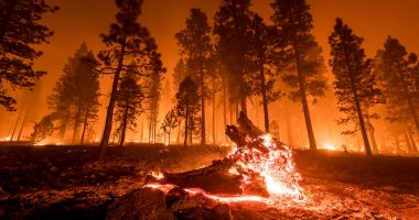 California wildfire