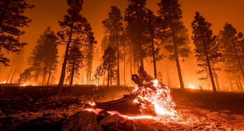 California wildfire