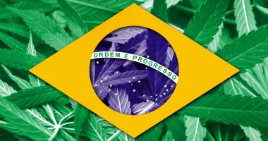 Brazil flag on cannabis background