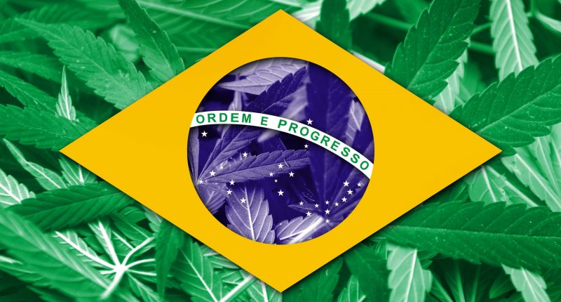 Brazil flag on cannabis background