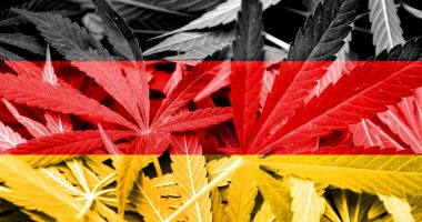 German flag with cannabis flower background