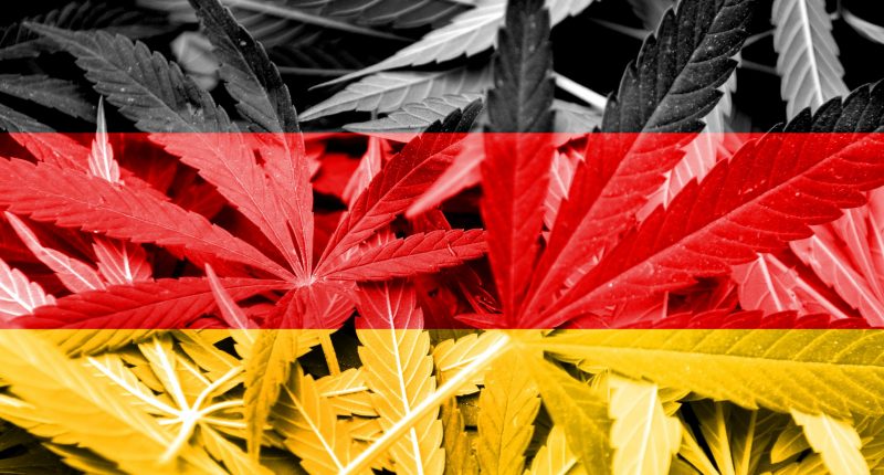 German flag with cannabis flower background