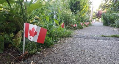 Canadian flags.