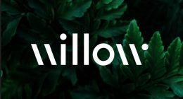 Willow Biosciences logo