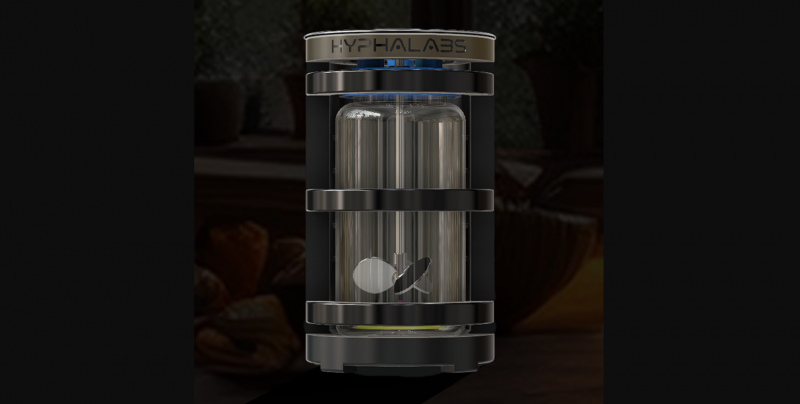 Prototype of Hypha Labs' Mushroom Accelerator