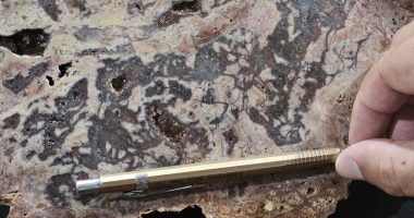 Silicified hydrothermal breccia from Cajueiro's Serafim target.